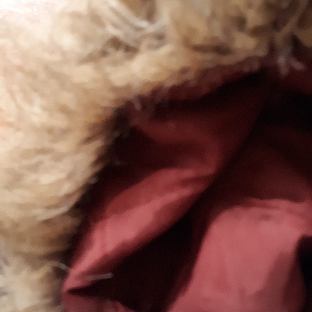 Billabong Jacket - Picture 6 of 11